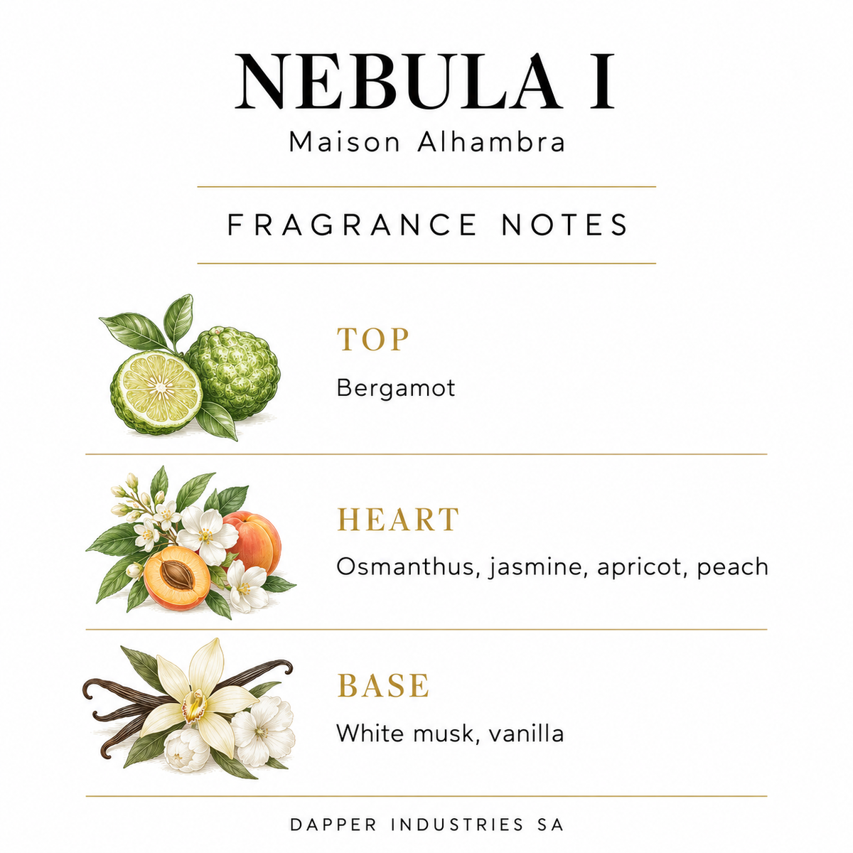 Nebula I by Maison Alhambra fragrance notes: top, heart and base