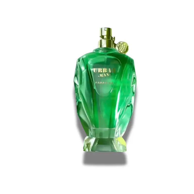 Urban Man Paradise Fragrance World 100ml Eau De Parfum
