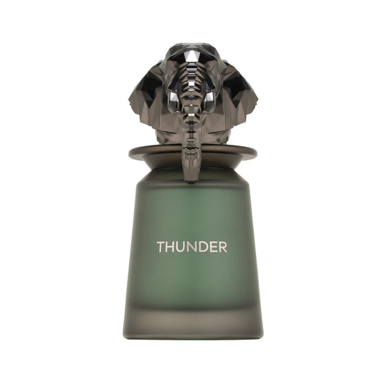 Thunder French Avenue - 100ml Dubai Perfume – Dapper Industries